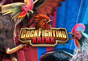 SOIBET Cockfighting Arena